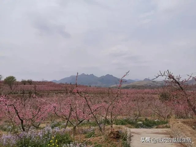 保定一日游最佳景点