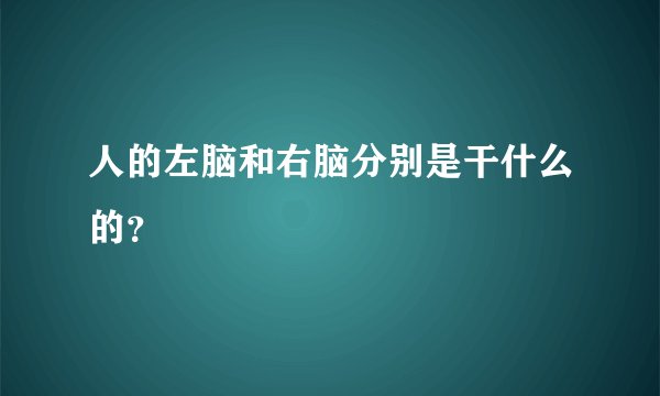 人的左脑和右脑分别是干什么的？