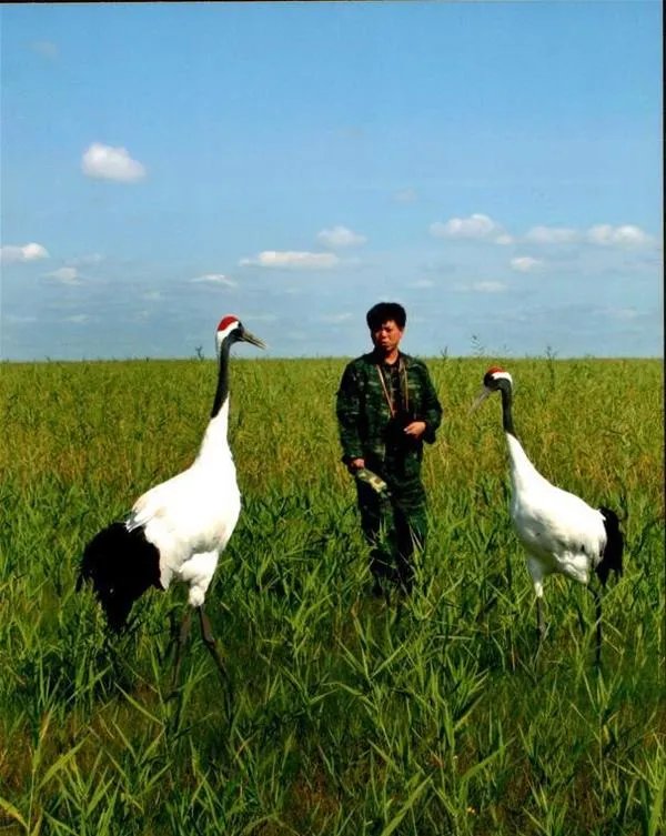 我国丹顶鹤自然保护区有几个?