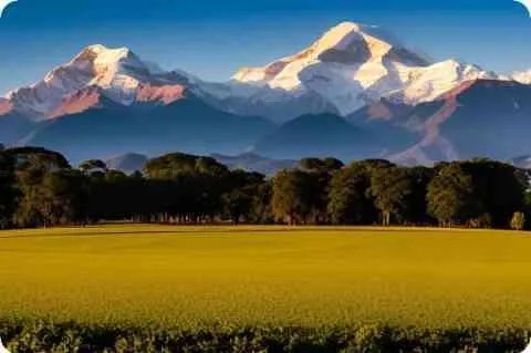 美国911事件真相_911事件的真相到底是什么？