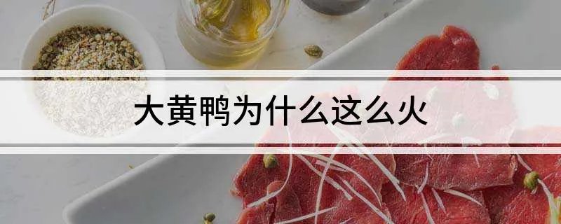 大黄鸭为什么这么火