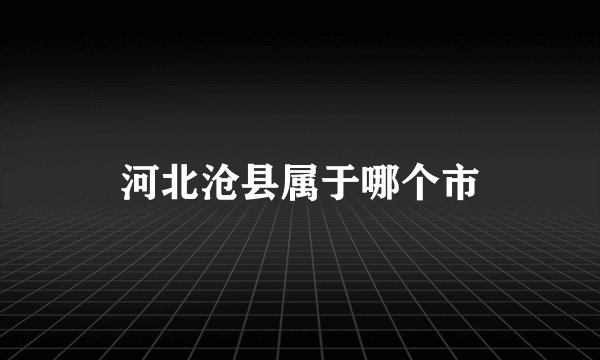 河北沧县属于哪个市