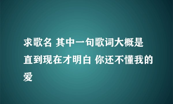 求歌名 其中一句歌词大概是直到现在才明白 你还不懂我的爱