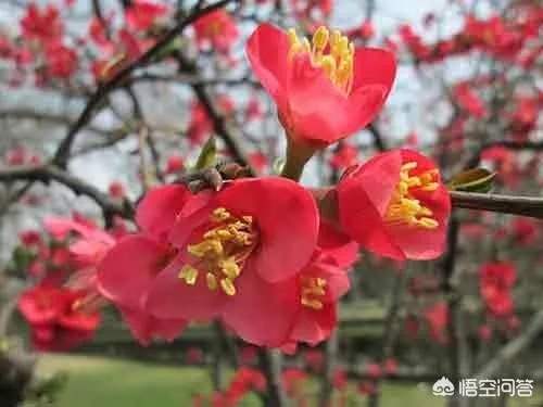 救援机构起诉温州“失联”男孩母亲，并索赔1元，对此你怎么看？