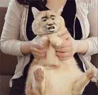 网红美食“脏包包”的火爆，最大原因是什么？