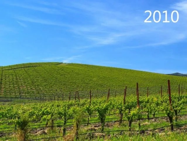 世界上知名度最高的照片是哪一张，有超过几亿人观看过的吗？