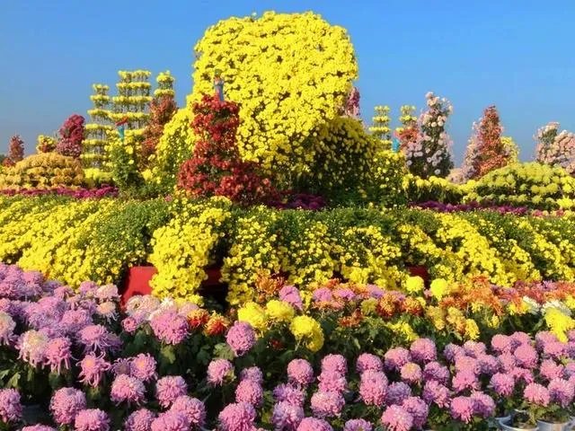 怎么从白莲花的外表看出绿茶婊的心？