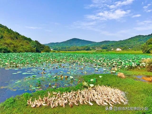 为什么三分之二的年轻人不愿意回农村了？