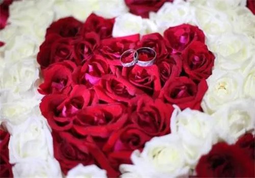 结婚纪念日送几朵玫瑰寓意好 结婚纪念日怎么安排好