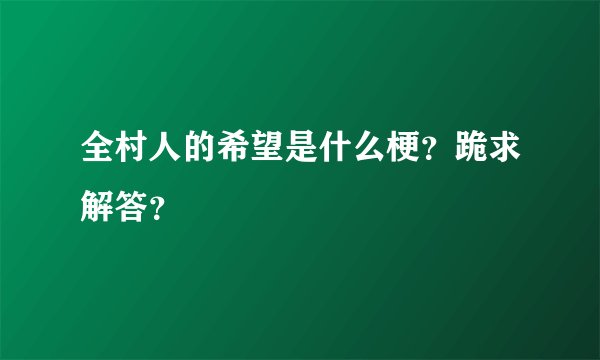 全村人的希望是什么梗？跪求解答？