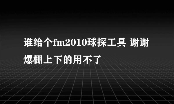 谁给个fm2010球探工具 谢谢 爆棚上下的用不了