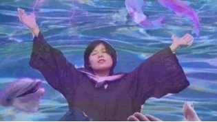 锦鲤已经过时了！猪年祈福认准“三鲤豚”