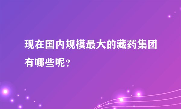 现在国内规模最大的藏药集团有哪些呢？