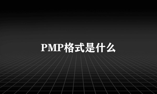 PMP格式是什么