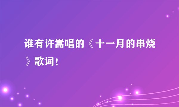 谁有许嵩唱的《十一月的串烧》歌词！