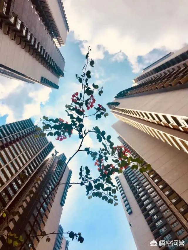 三亚现在的买房限购政策是怎样的?