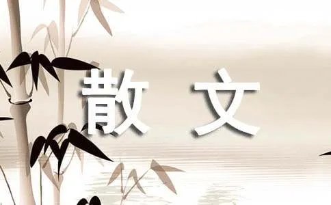 让灵魂在阳光下起舞的抒情散文