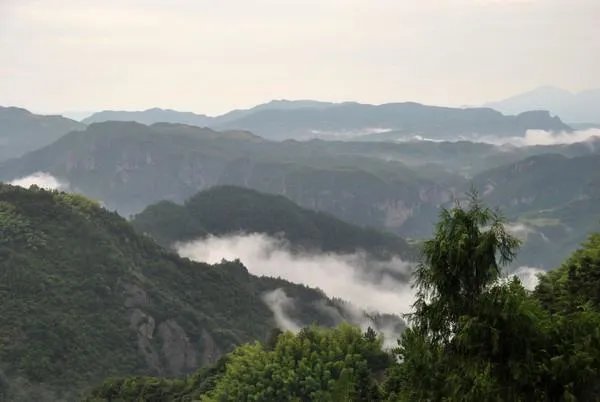 雨里鸡鸣一两家,竹溪村路板桥斜这两句写出了山村怎样的特点