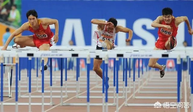 谢文骏在雅加达亚运会上能否获得男子110米项目的冠军？