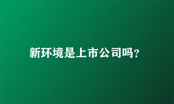 新环境是上市公司吗？