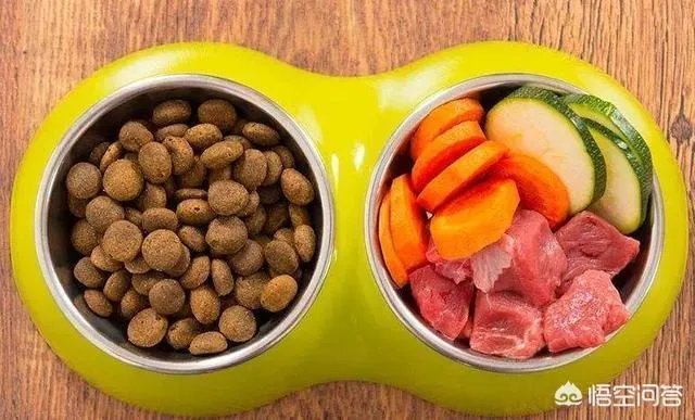 为什么养八哥犬的人那么少?