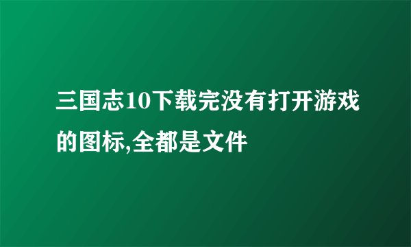 三国志10下载完没有打开游戏的图标,全都是文件