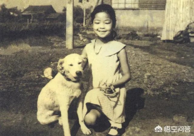 邓丽君为什么在那个年代那么红？