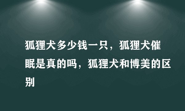 狐狸犬多少钱一只，狐狸犬催眠是真的吗，狐狸犬和博美的区别