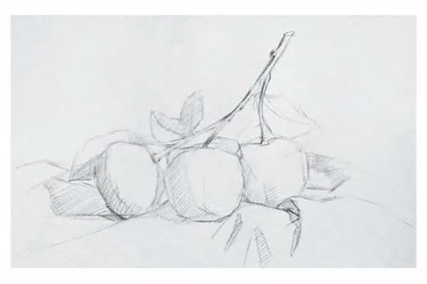 素描静物作画步骤图，有图的，有步骤的