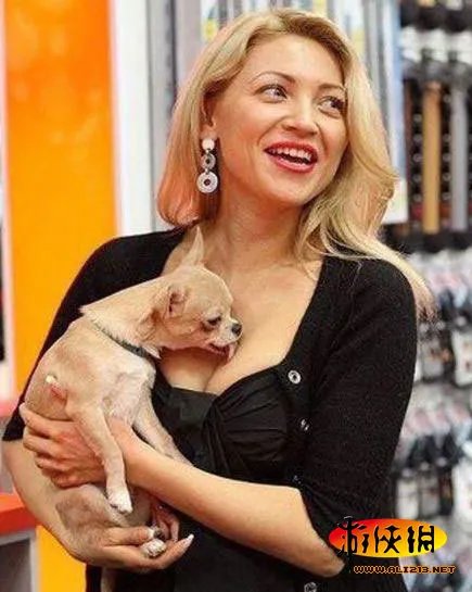 女主播遭狒狒袭胸 那些喜欢调戏美女的动物们