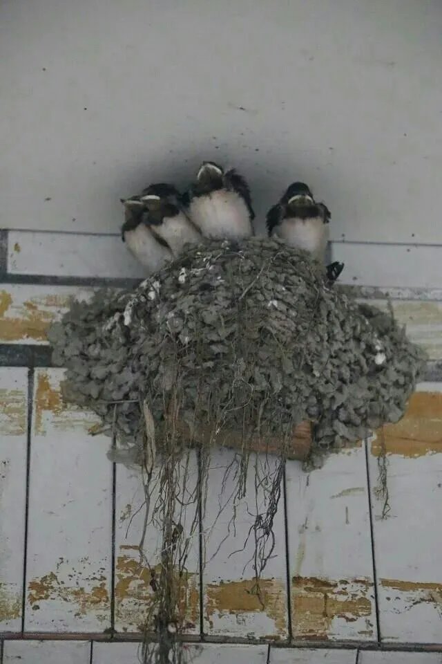 2016 年,你拍过最棒的图片是哪一张?