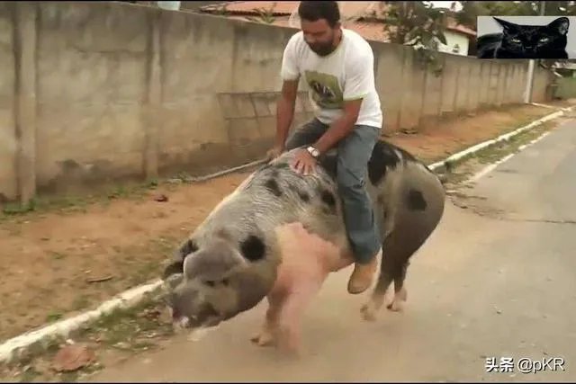 藏品在家不拿出去能私下交易吗?怎样才能把藏品卖出去？