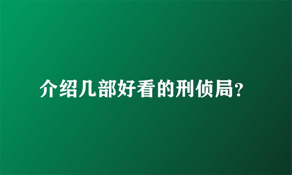 介绍几部好看的刑侦局？