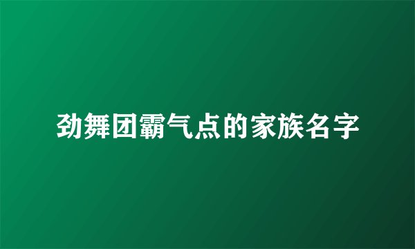 劲舞团霸气点的家族名字