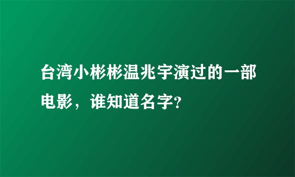 台湾小彬彬温兆宇演过的一部电影,谁知道名字?
