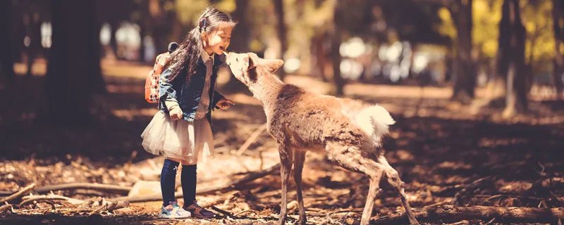 为什么要保护野生动物 保护野生动物有什么意义