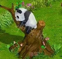 《梦幻西游》牧场饰品有哪些？牧场饰品选择攻略