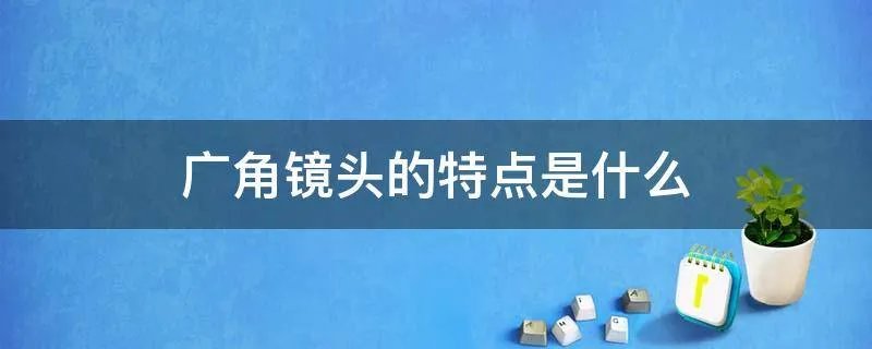 广角镜头的特点是什么