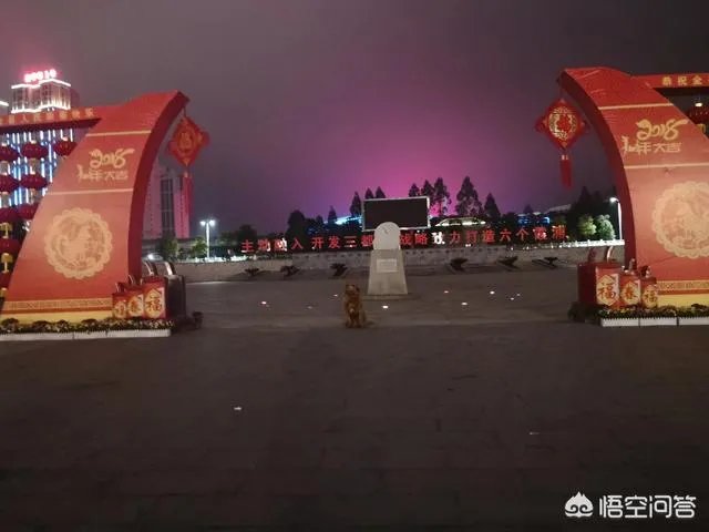 哪些犬种在原产国享有“国宝”的美誉？