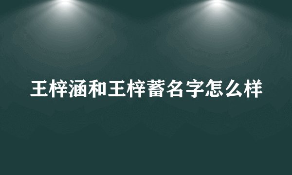 王梓涵和王梓蓄名字怎么样