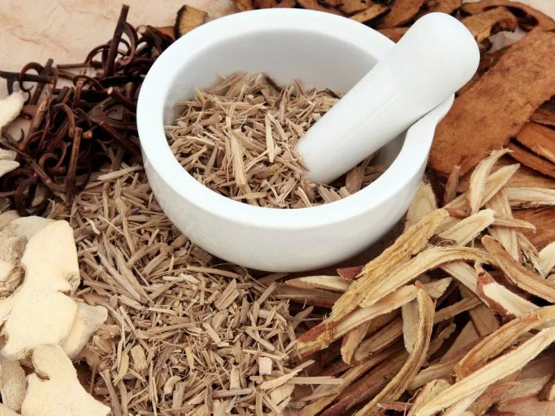 蛤蚧的作用和功效