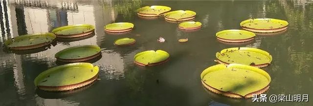 拖延症真的会影响一个人前途吗？为什么？