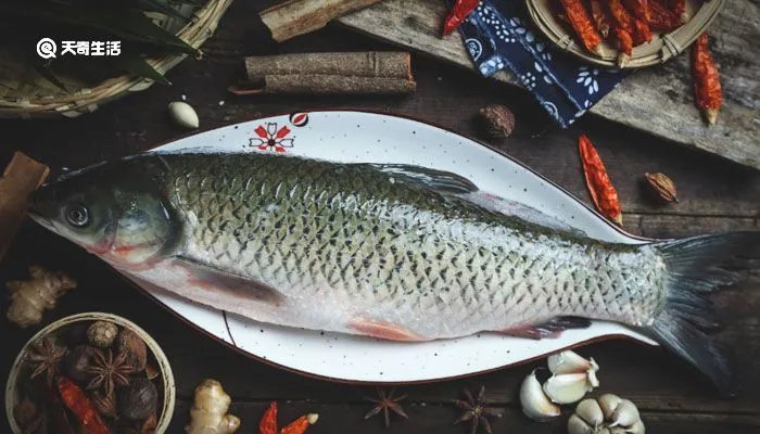 巴沙鱼和龙利鱼的区别