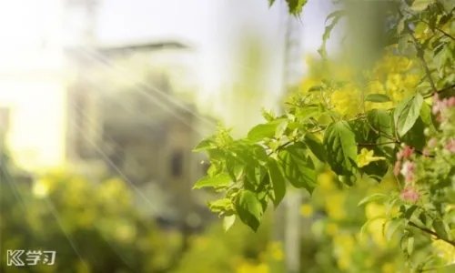 简单一点的辞职信范文5篇