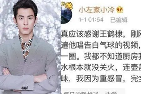 歌声救人王鹤棣 网友坦言他唱的是救命气球