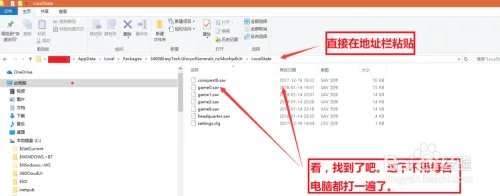 将军的荣耀游戏存档位置