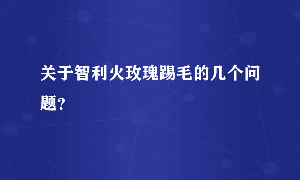 关于智利火玫瑰踢毛的几个问题？