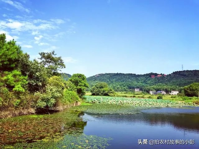 为什么三分之二的年轻人不愿意回农村了？