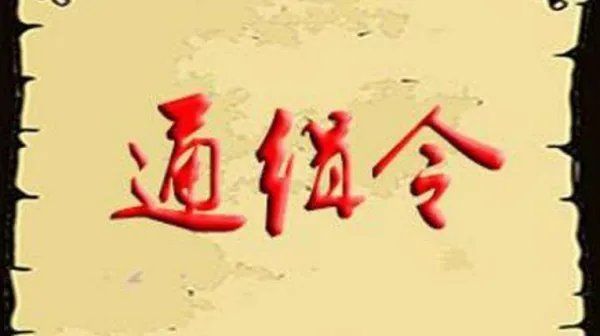 什么样的犯罪会被网上通缉