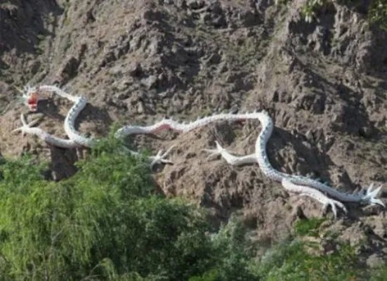 震惊!村民修路竟挖出千年真龙!（图）